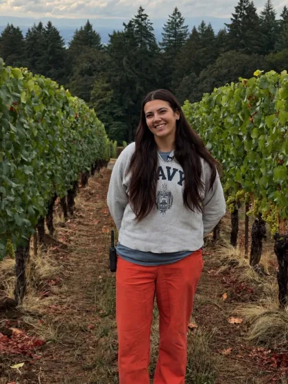 2020 Maison Evenstad Volnay Premier Cru Robardelle… | Domaine Serene
